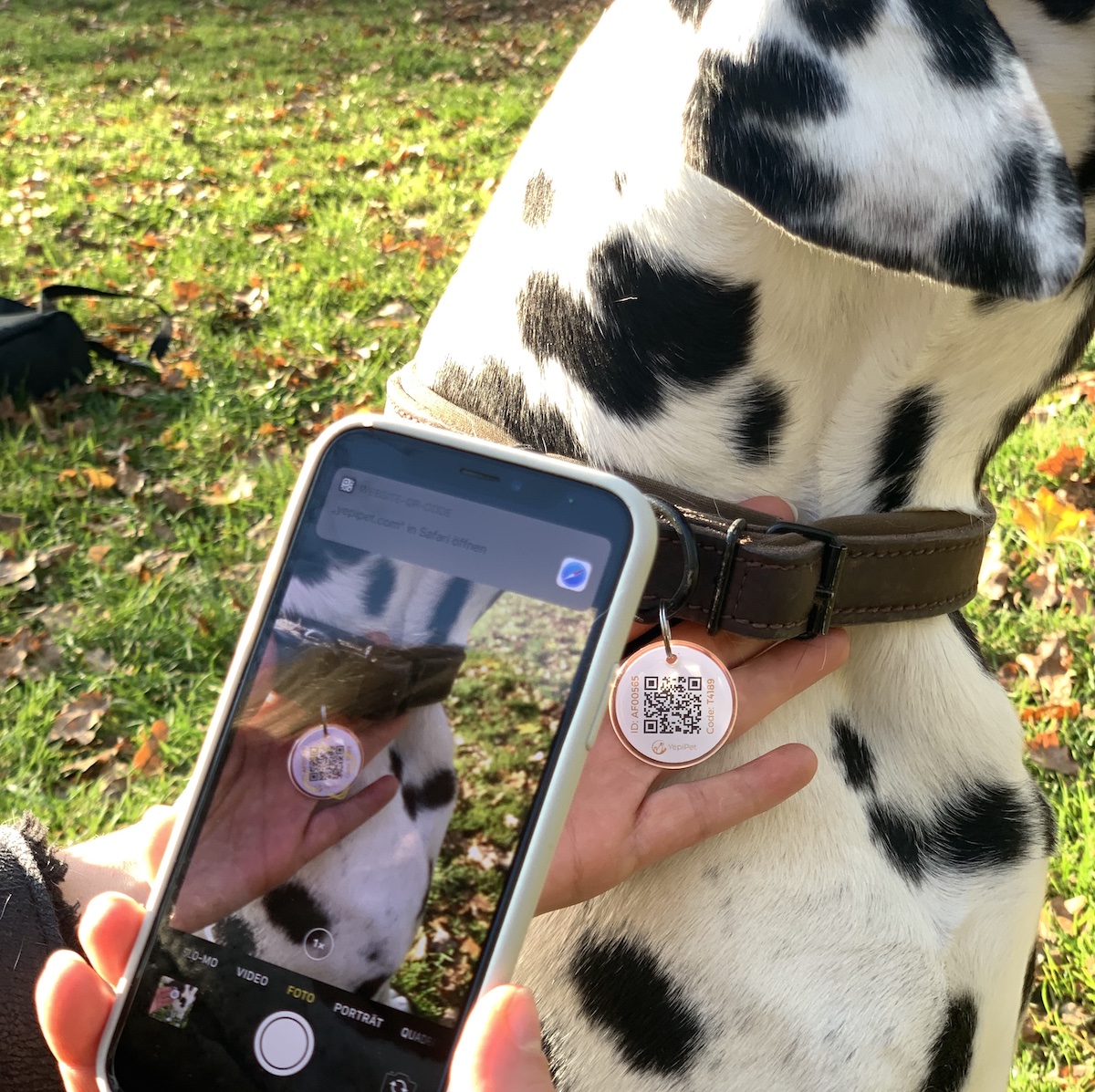 Photo of a smarphone camera app scanning the qr code on a  dalmatian's YepiTag pet tag.